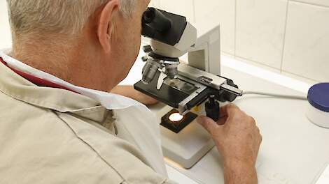 Eerste H9N2-vogelgriepgeval bij mens in Europa