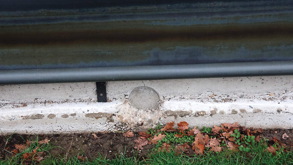 Door de nu afgesloten voormalige waterafvoer bleken vogeltjes de overdekte uitloop binnen te komen.