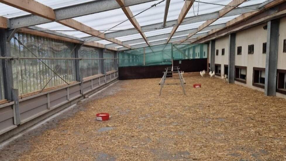 De overdekte uitloop vormt altijd een kwetsbaar punt voor ongedierte of wilde katten. Met camera’s en fluorescentie is actief gemonitord op plaagdieren. Wilde katten worden gevangen en via Stichting Zwerfkatten gesteriliseerd. Kittens krijgen een nieuw th