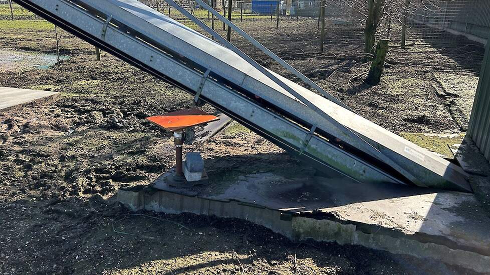 Wildcamera’s bij de mestband brachten ratten en diverse vogels in beeld. „Mest moet nu eenmaal de stal uit, maar de mestband is qua biosecurity een zwakke plek. Met een wildcamera zie je dingen die je overdag niet ziet. Het maakt je alerter”, zegt Annemij