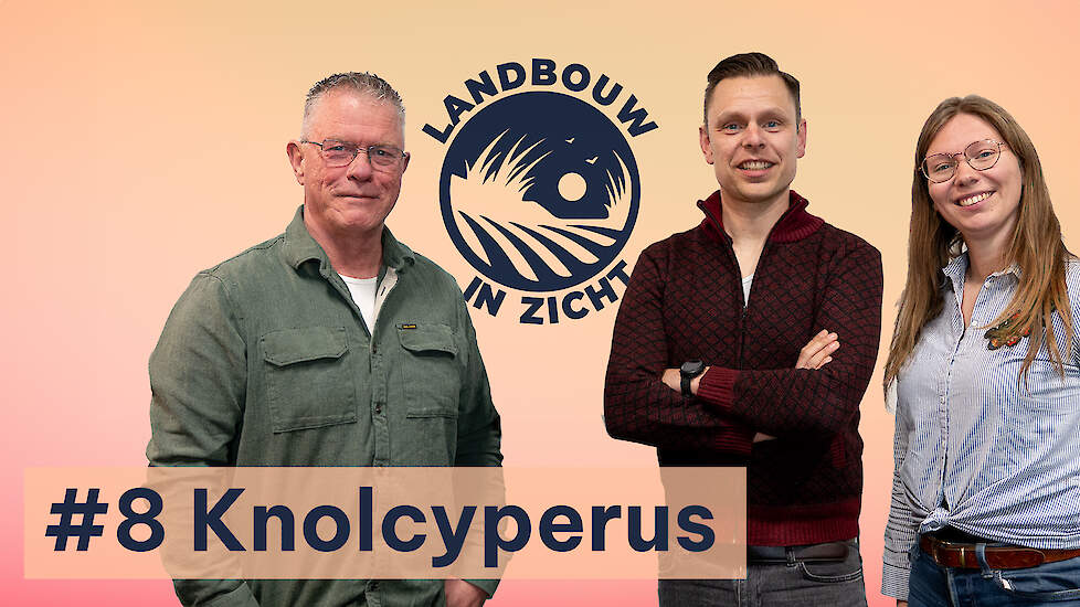‘Doorbreek het taboe rond knolcyperus, het is één voor twaalf’ #8 - Landbouw In Zicht