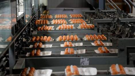 'Grossier die op Amsterdamse eiernotering verkoopt, komt tekort'