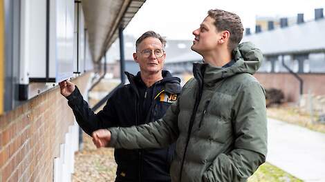 Van kalkoenen naar 1-ster Beter Leven vleeskuikens