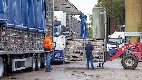 LTO/NOP: 'Geef een bonus voor lager vangletsel'