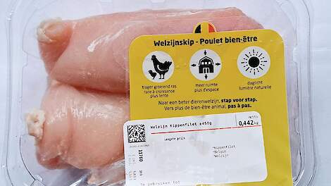 Vlaanderen werkt aan etikettering BCC-kip na koerswijziging retail