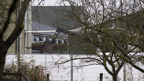 Belgische pluimveehouders betalen ook in 2027 dubbele bijdrage aan Sanitair Fonds