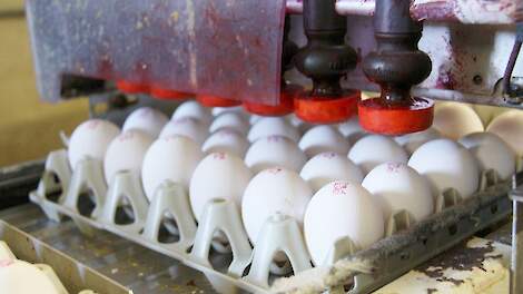 Vrijstellingsregeling eieren bij defecte stempelapparatuur