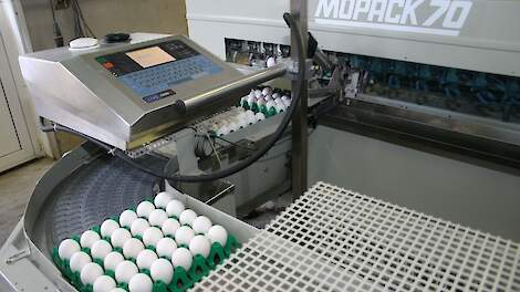 'Europese wetgeving voor eieren stempelen is een lekkende zeef'