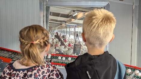 Naast Wereld Eidag nu ook een Nationale Eidag op 1 augustus