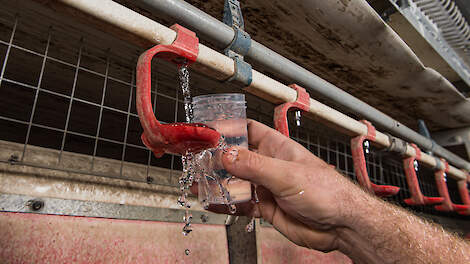 Natte mest of onrust in de biologische koppel? Kijk naar de water-voerverhouding