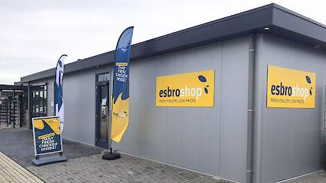 Kipwinkel Esbro verhuist naar hartje Wehl: 'Grootste pluimveevleeswinkel van Europa'